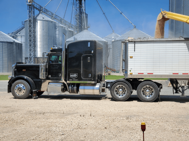 Grain Trucking Altona